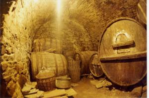 The cellar