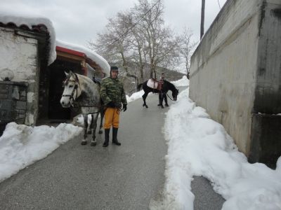 Ο Λάκης Ζαχαρής με τα άλογά του. Όπως πάμε με τα μνημόνια, σε λίγο μάλον θα επιστρέψουν στα χωριά μας τα αγαπημένα μας αυτά  ζώα, που τόσα πολλά τους χρωστάμε.