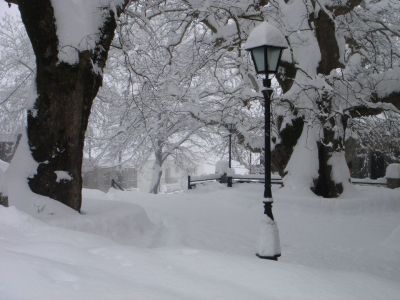 Η φωτογραφία είναι του Τάσου Καλιά.