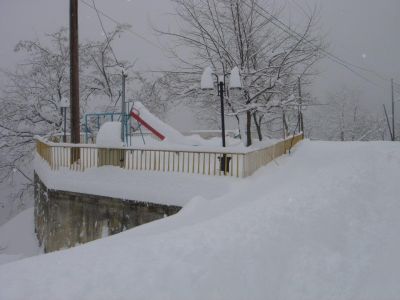 Η φωτογραφία είναι του Τάσου Καλιά.