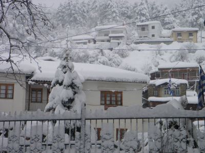 Η φωτογραφία είναι του Τάσου Καλιά.