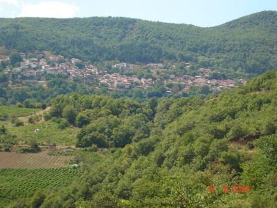 &Tau;&eta; &phi;&omega;&tau;&omicron;&gamma;&rho;&alpha;&phi;ί&alpha; &mu;&alpha;&sigmaf; έ&sigma;&tau;&epsilon;&iota;&lambda;&epsilon; &omicron; &Pi;&epsilon;&rho;&iota;&kappa;&lambda;ή&sigmaf; &Mu;&alpha;&lambda;&alpha;&mu;ί&tau;&sigma;&eta;&sigmaf;.