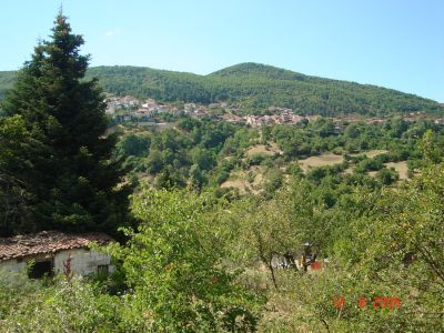 &Tau;&eta; &phi;&omega;&tau;&omicron;&gamma;&rho;&alpha;&phi;ί&alpha; &mu;&alpha;&sigmaf; έ&sigma;&tau;&epsilon;&iota;&lambda;&epsilon; &omicron; &Pi;&epsilon;&rho;&iota;&kappa;&lambda;ή&sigmaf; &Mu;&alpha;&lambda;&alpha;&mu;ί&tau;&sigma;&eta;&sigmaf;.