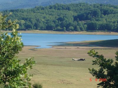 &Tau;&eta; &phi;&omega;&tau;&omicron;&gamma;&rho;&alpha;&phi;ί&alpha; &mu;&alpha;&sigmaf; έ&sigma;&tau;&epsilon;&iota;&lambda;&epsilon; &omicron; &Pi;&epsilon;&rho;&iota;&kappa;&lambda;ή&sigmaf; &Mu;&alpha;&lambda;&alpha;&mu;ί&tau;&sigma;&eta;&sigmaf;.