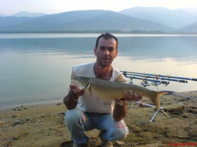 &Tau;&eta; &phi;&omega;&tau;&omicron;&gamma;&rho;&alpha;&phi;ί&alpha; &mu;&alpha;&sigmaf; έ&sigma;&tau;&epsilon;&iota;&lambda;&epsilon; &omicron; &Kappa;ώ&sigma;&tau;&alpha;&sigmaf; &Pi;&alpha;&pi;&alpha;&delta;&eta;&mu;&eta;&tau;&rho;ί&omicron;&upsilon;.