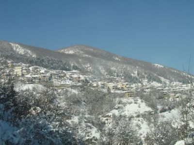 &Phi;&omega;&tau;&omicron;: &Chi;&rho;&upsilon;&sigma;ό&sigma;&tau;&omicron;&mu;&omicron;&sigmaf; &Kappa;&alpha;&rho;&beta;&omicron;ύ&nu;&eta;&sigmaf;