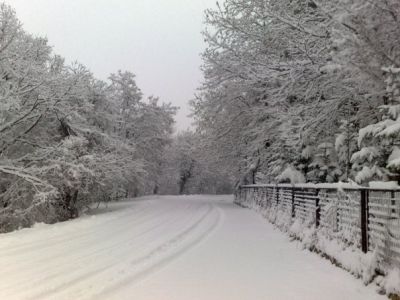 &Alpha;&pi;ό &tau;&eta;&nu; &omicron;&mu;ά&delta;&alpha; mesenikolas &tau;&omicron;&upsilon; facebook.<br />&Phi;&omega;&tau;&omicron;: &Chi;&rho;ή&sigma;&tau;&omicron;&sigmaf; &Alpha;&sigma;&tau;&epsilon;&rho;ί&omicron;&upsilon;