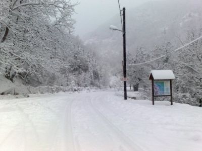 &Alpha;&pi;ό &tau;&eta;&nu; &omicron;&mu;ά&delta;&alpha; mesenikolas &tau;&omicron;&upsilon; facebook.<br />&Phi;&omega;&tau;&omicron;: &Chi;&rho;ή&sigma;&tau;&omicron;&sigmaf; &Alpha;&sigma;&tau;&epsilon;&rho;ί&omicron;&upsilon;