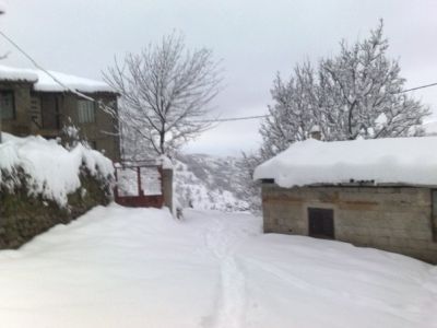 &Alpha;&pi;ό &tau;&eta;&nu; &omicron;&mu;ά&delta;&alpha; mesenikolas &tau;&omicron;&upsilon; facebook.<br />&Phi;&omega;&tau;&omicron;: &Chi;&rho;ή&sigma;&tau;&omicron;&sigmaf; &Alpha;&sigma;&tau;&epsilon;&rho;ί&omicron;&upsilon;