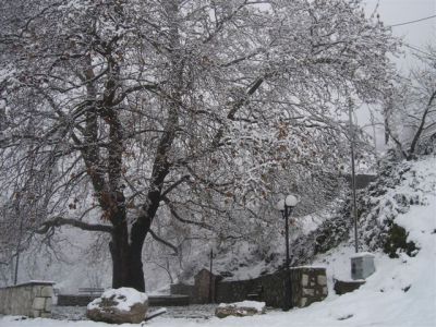 &Phi;&omega;&tau;&omicron;: &Chi;&rho;&upsilon;&sigma;ό&sigma;&tau;&omicron;&mu;&omicron;&sigmaf; &Kappa;&alpha;&rho;&beta;&omicron;ύ&nu;&eta;&sigmaf;