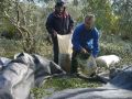 Η φωτογραφία είναι του Τάσου Καλιά.